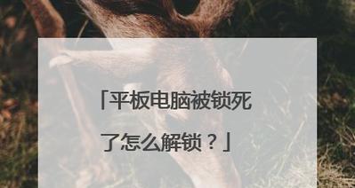 平板电脑被锁死如何解开密码？有无简单方法？
