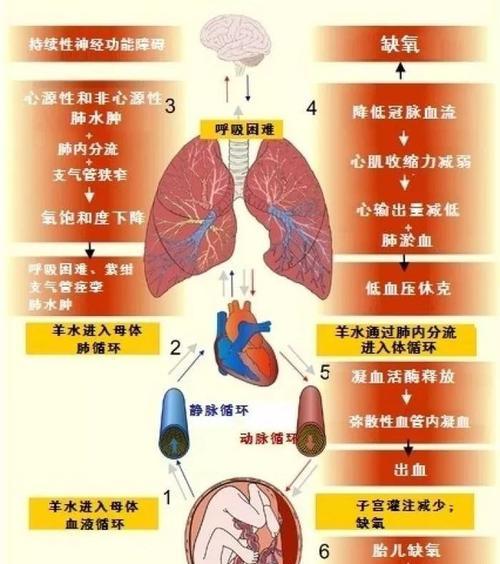 服务器终端被摧毁如何恢复？数据抢救步骤是什么？