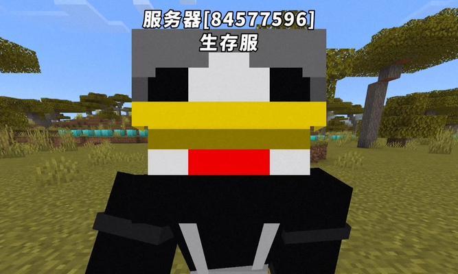 如何进入更好的mc服务器？进服过程中遇到问题怎么办？