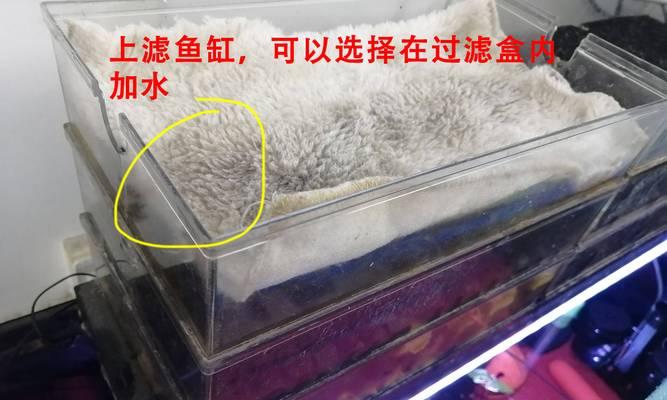 使用热水器水换鱼缸水的原因是什么？