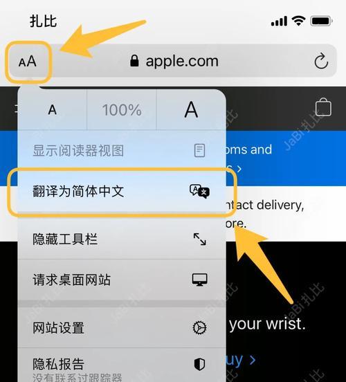 苹果手机的搜索翻译功能如何开启？使用步骤是什么？