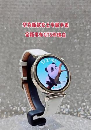 智能手表小金龙手表怎么用？小金龙手表有哪些独特功能？