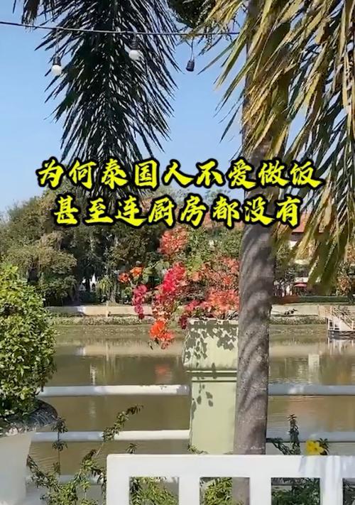 泰国人为什么偏爱苹果手机？使用率高吗？