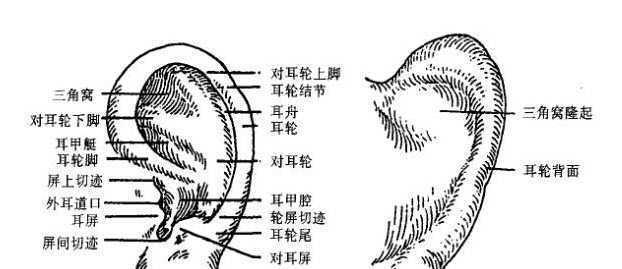 连续听一天音响会对听力有影响吗？有哪些注意事项？