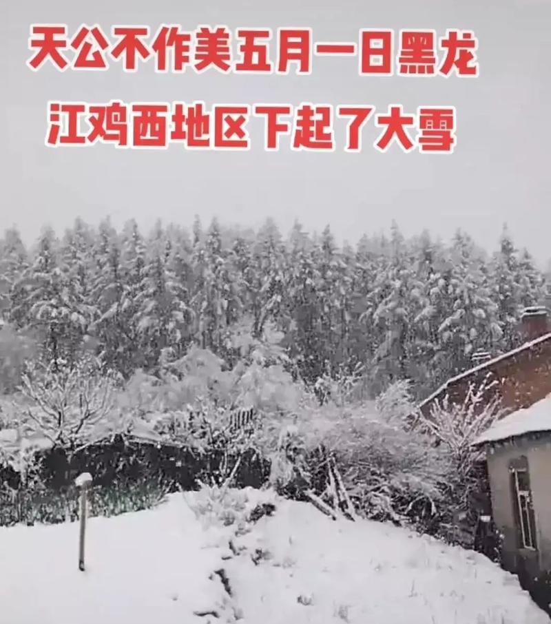 荣耀手机在下雪天气如何拍摄？有哪些技巧？