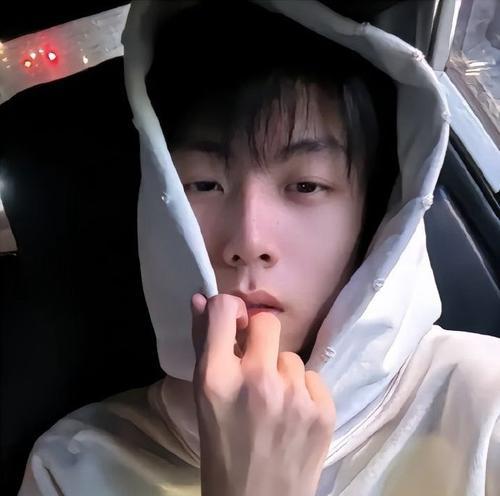 庞博文使用的苹果手机型号是什么？该型号手机有何特点？