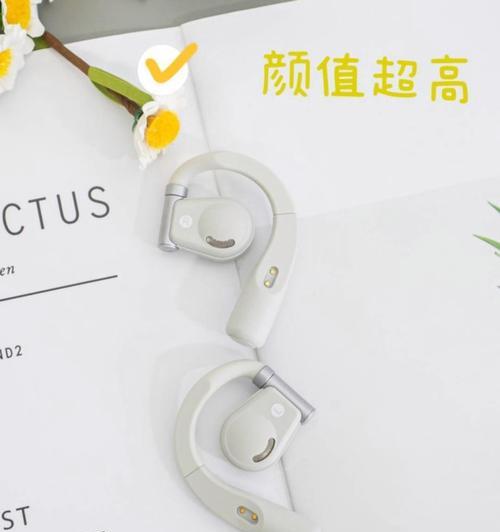 丽耳蓝牙耳机使用过程中常见问题有哪些？
