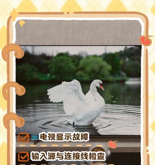 新买的电视机无法观看是否正常？