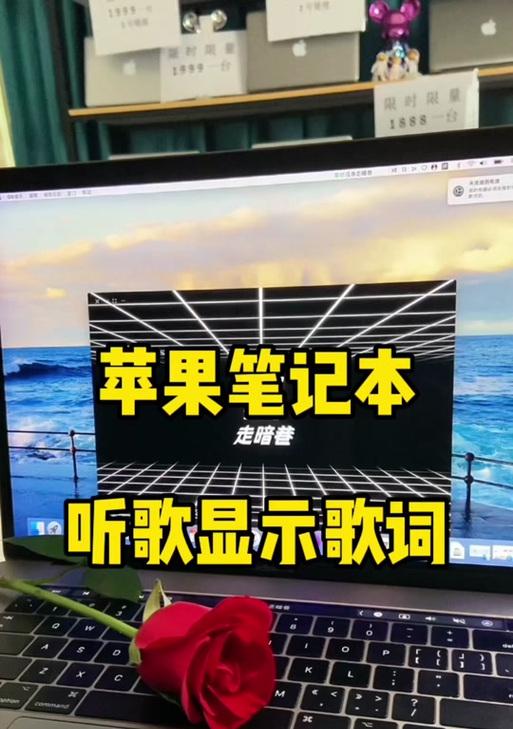 如何在苹果电脑上显示歌词？显示歌词的设置步骤是什么？