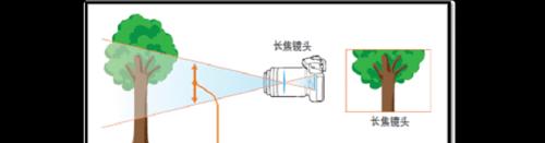 数码相机橡胶盖打开方法是什么？