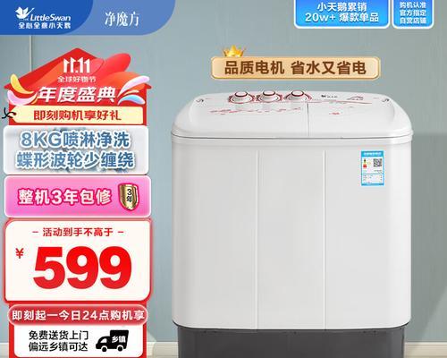 双桶洗衣机哪个牌子好？