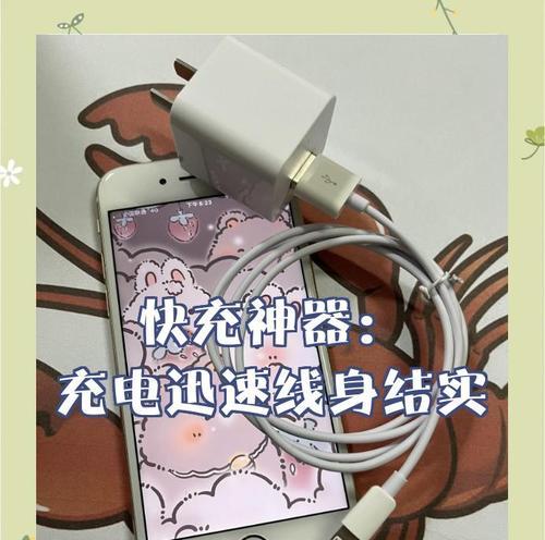 飞跃电瓶充电器保养方法是什么？