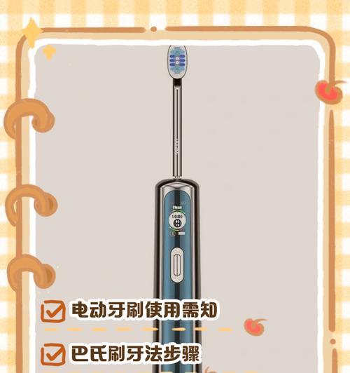 手机牙刷支架的正确使用方法是什么？使用中应注意什么？