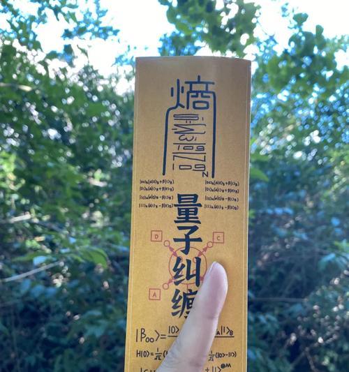 手机壳中符纸放置方法是什么？放置符纸有何作用？