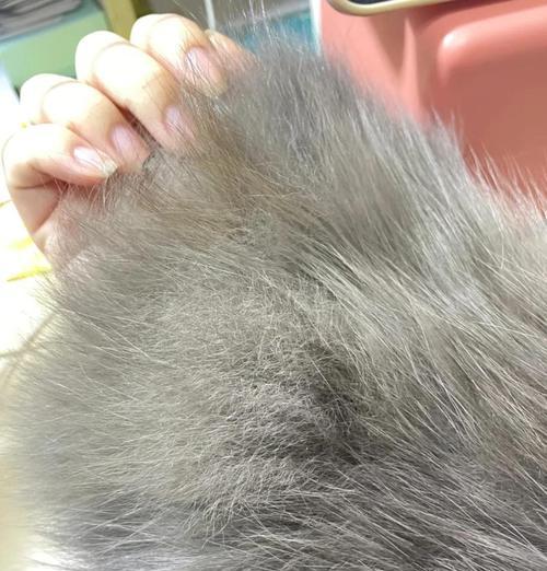 皮草洗衣机洗涤后果是什么？如何正确清洗皮草？