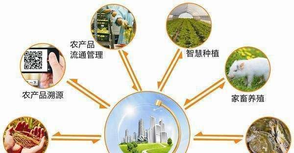 为什么新疆是物联网卡的禁区？物联网卡在新疆的使用限制有哪些？
